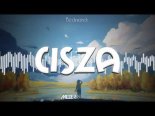 Bednarek - Cisza (MEZER Bootleg)