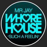 Mr Jay - Such A Feelin (Original Mix)