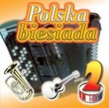 DJ SEBA POLSKA BIESIADA MIX VOL 2 ( 24 .10. 2021 )