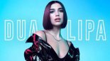 Dua lipa ft Alex Gaudino - Love In Calabria (DJbesz Remix)