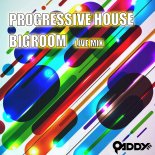 Qaddy Live Mix - Progressive Bigroom Music