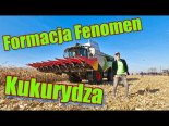 Formacja Fenomen - Kukurydza 2021