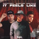 Martin Trevy, Bluckther & David Frank - It Feels Like