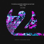 Tycoos & Sandro Mireno & Natune - I Will Try (AYDA Extended Remix)