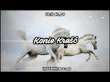 Fair Play - Konie Kraść (DJ Patryk Bootleg)