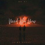 MD DJ feat. Jaime Deraz - Need You Now