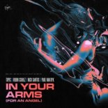 Topic X Robin Schulz X Nico Santos X Paul Van Dyk - In Your Arms (For An Angel)