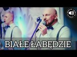 Ever Play - Białe Łabędzie (Cover)