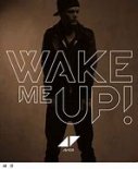 Avicii - Wake me up (SaLtN EDM remix)