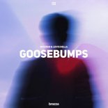 NIVERSO & Levis Della - Goosebumps