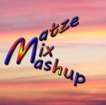 Ace Of Base vs. Shakira - Cruel Wolf (MatzeMix Mashup)