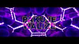 Dawid Artysta - Pakuje Walize 2022 ( CLIMO REMIX )