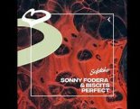 Sonny Fodera, Biscits - Perfect (Extended Mix)