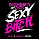 David Guetta, Akon - Sexy Bitch (Daikee X Mirasso Bootleg)