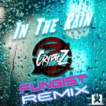 CryptoZ - In The Rain (Fungist remix)