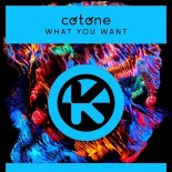 Cotone - What You Want