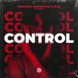 Engstrom, Westerlund, DKSH, Onyra - Control