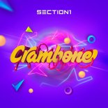 Section 1 - Crambone (Extended Mix)