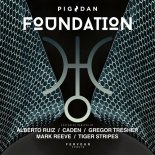 Pig&Dan - Foundation (Tiger Stripes Remix)