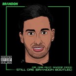 Dr. Dre feat. Snoop Dogg - Still Dre (BRANDON Bootleg)