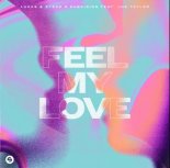 Lucas & Steve Vs. DubVision Feat. Joe Taylor - Feel My Love