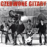 Czerwone Gitary - Jak Mi Się Podobasz