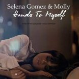 Selena Gomez & Molly - Hands To Myself (Mash-up by Alexander SAGA Smirnoff)