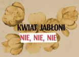 Kwiat Jabłoni - Nie, nie, nie