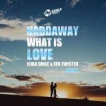 Haddaway - What Is Love (Jenia Smile & Ser Twister Remix)