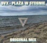 BVX - PLAŻA W STEGNIE (ORIGINAL MIX) [4FUN]