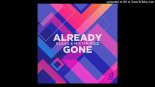 Klaas & Mister Ruiz - Already Gone (Bismark Project) Dance Comercial Remix 2022