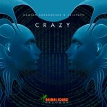 Damian Sarandeses & Cristoph - Crazy (Original Mix)