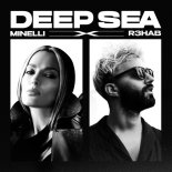 Minelli x R3HAB - Deep Sea (Ferki Remix)