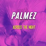 Palmez - Across the Night (Extended Mix)
