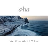 a-ha - You have what it takes