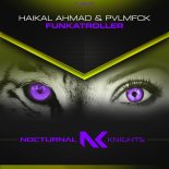 Haikal Ahmad & Pvlmfck - Funkatroller