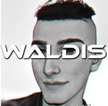 Waldis - Break It Insane (Original Mix)