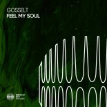 Gosselt - Feel My Soul (Extended Mix)