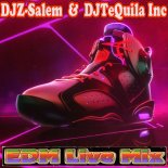 DJZ-Salem & DJTeQuila Inc - Club Electronic Pleasure Vol.54 (BigRoom LiveSet 2022)