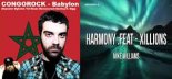 Congorock Mike Williams feat. Xillions - Babylon Harmony(DjHooKeR BooTlEG)