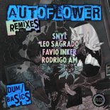 Autoflower - Basics (Rodrigo AM Remix)