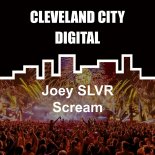 Joey SLVR - Scream (Original Mix)