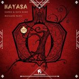 DARNO, GATA BAND - Hayasa (Monojoke Remix)