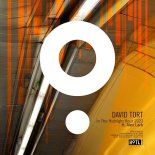 David Tort feat. Alex Lark - In The Midnight Hour 2023 (Extended Mix)