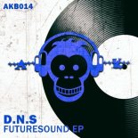 D.N.S - Futuresound (Original Mix)