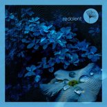 Oscar de Rivera - Blue Velvet (Extended Mix)