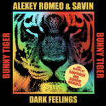 Alexey Romeo & Savin - Dark Feelings (Karpovich Remix)