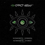 Neomagnetic - Ayawaska (Original Mix)