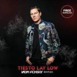 Tiesto - Lay Low (Vadim Vronskiy Bootleg)