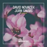 David Novacek, Juan Galvis - Akkadian (Extended Mix)